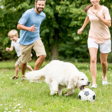 How to Get the Whole Family Moving (Without the Eye Rolls)