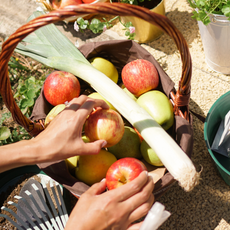 Seasonal Snacking 101: Your Summer Recipe Round-Up