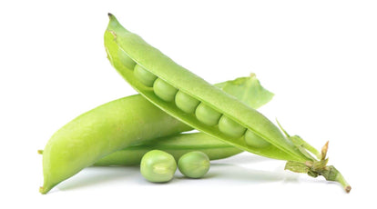 pea protein