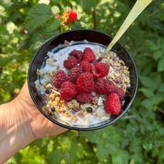 Organic Granola: What to Look For and What the Label Means