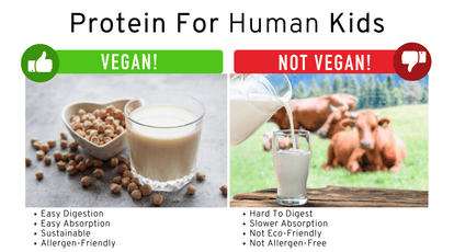Why Use Vegan Protein?