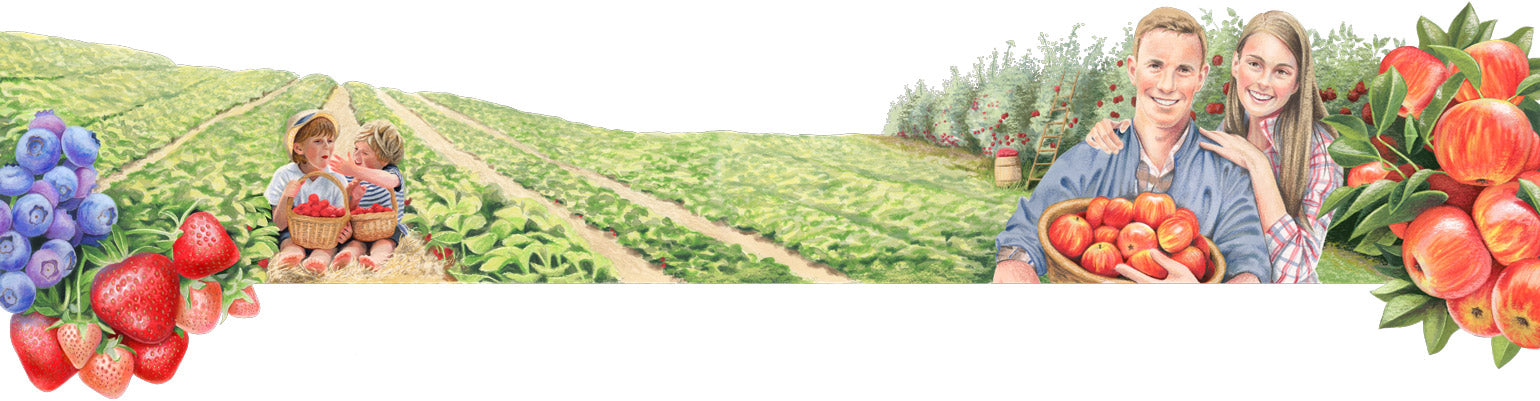 plant based delicious web