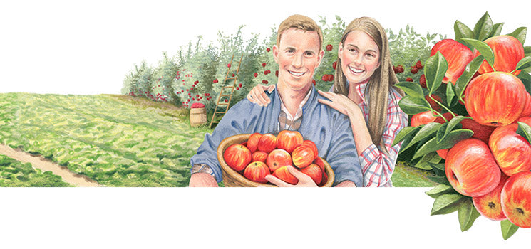 plant based delicious web