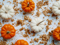 Fall Favorites Bundle